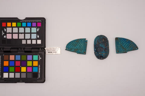 scarabeo alato 00101 photo