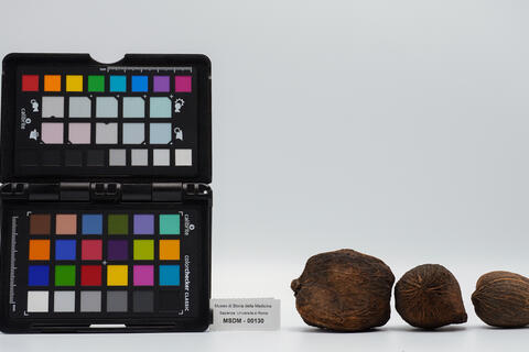 noce di palma 00130 photo