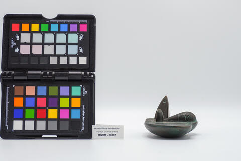 calco fegato 00197 photo