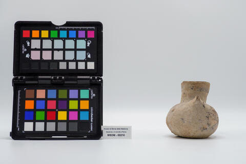 vaso a foggia di anatra 00210 photo