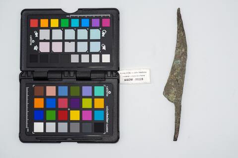 tagliente con lame 00225 photo