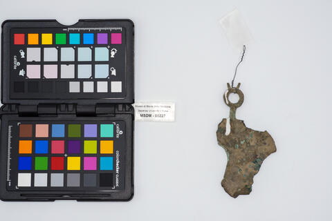 rasoi con manico 00227 photo