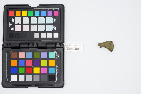 pendaglio 00237 photo