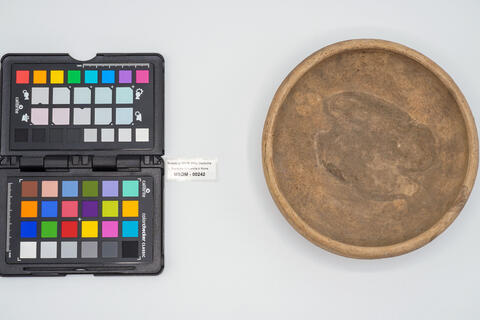patera 00242 - immagine 3