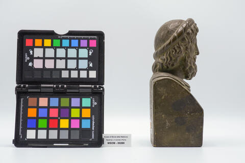 calco Asclepio 00260 - immagine 2