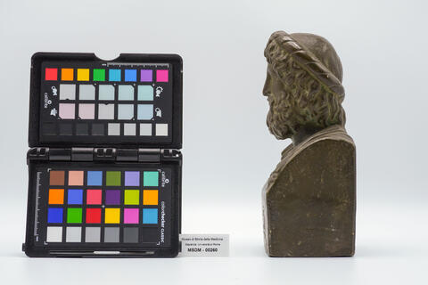calco Asclepio 00260 - immagine 3