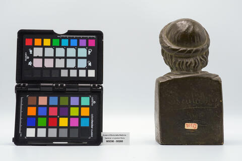 calco Asclepio 00260 - immagine 4