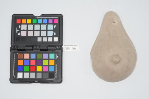 ex voto mammella 00276 photo