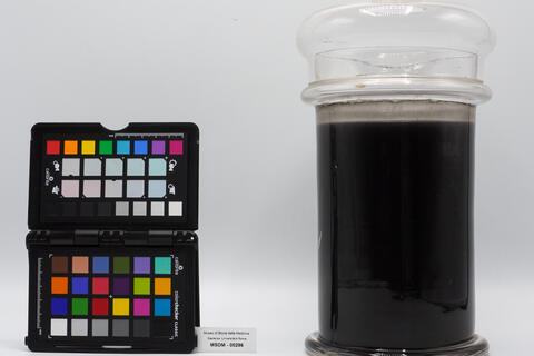 contenitore bile nera 00296 photo