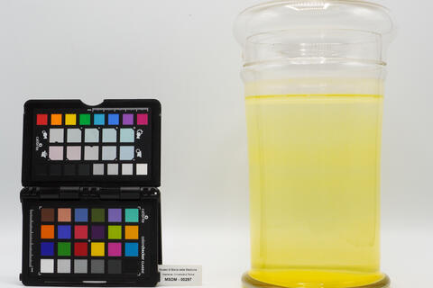 contenitore bile gialla 00297 photo