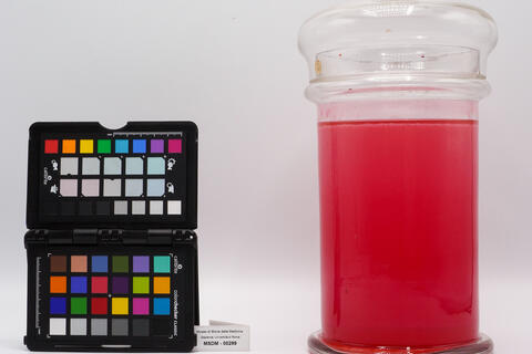 contenitore sangue 00299 photo