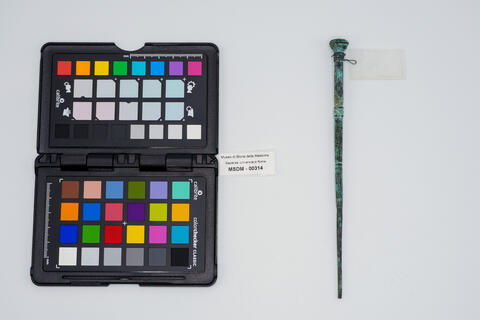 punteruolo romano 00314 photo