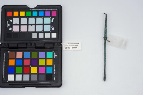 auriscalpium romano 00329 photo