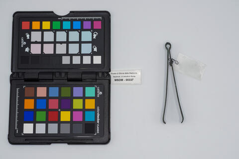 vulsella romana 00337 photo