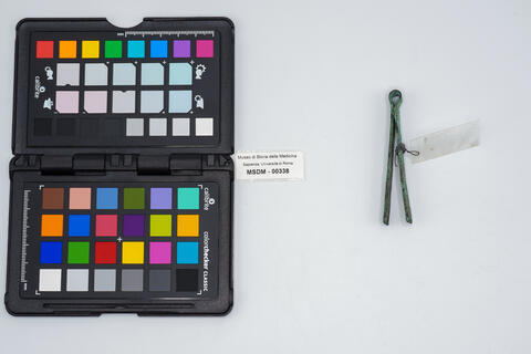 vulsella romana 00338 photo