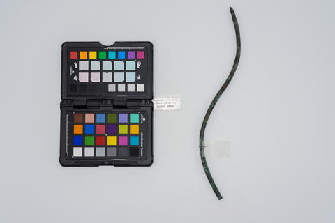 fistula aenea 00349 photo