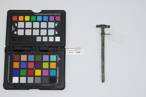 cannula semplice 00356 photo