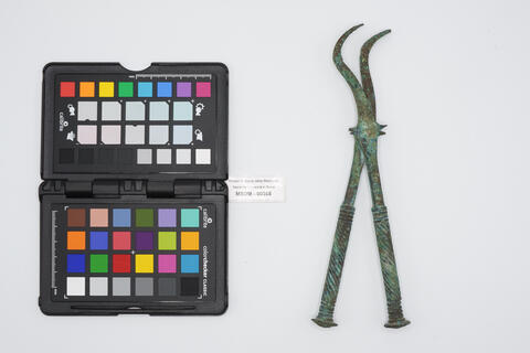 forcipe ercolanense 00365 photo