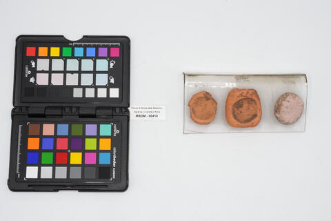 discoide 00410 photo