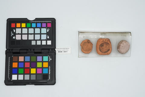 discoide 00411 photo