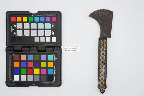 sega piccola 00440 photo