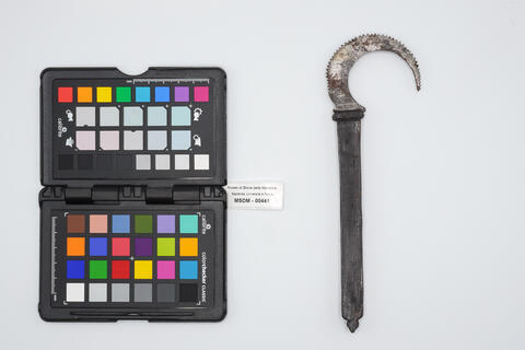 sega piccola 00441 photo