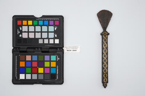 sega piccola 00442 photo