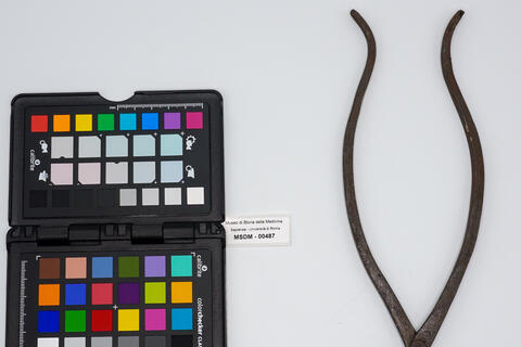 pinza chirurgica 00487 photo