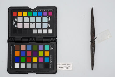 punteruolo doppio 00503 photo