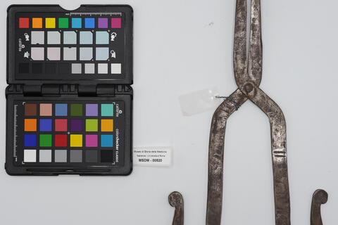 speculo vaginale 00520 photo