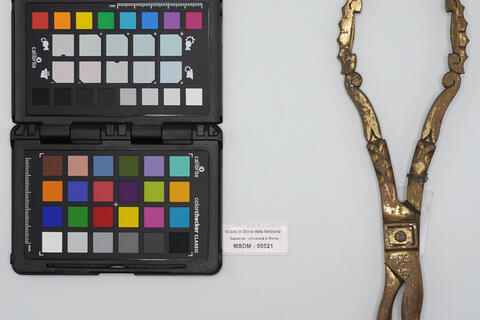 pinza uterina 00521 photo