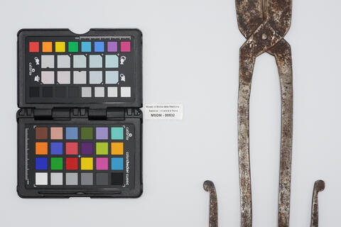 tronchese con branche 00532 photo