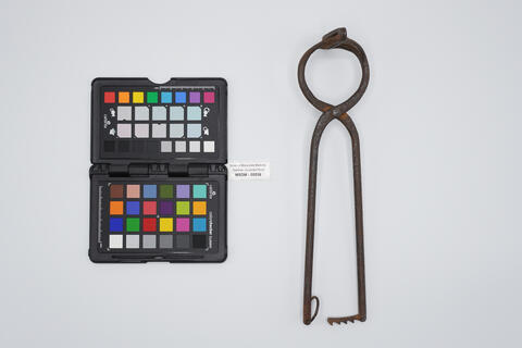 pinza chirurgica 00536 photo