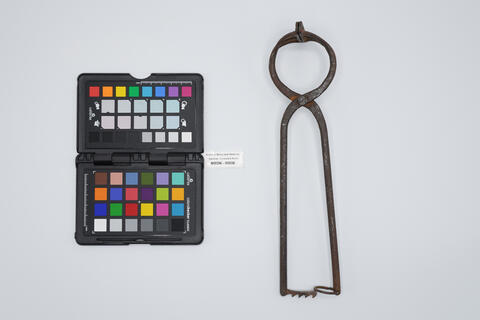 pinza chirurgica 00536 - immagine 2