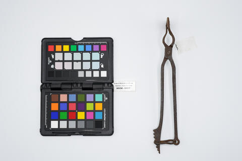 pinza chirurgica 00537 - immagine 2