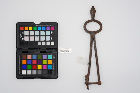 pinza chirurgica 00538 - immagine 2