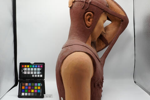 modello anatomico 00548 - immagine 2
