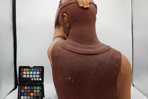 modello anatomico 00548 - immagine 4