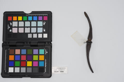 scollaperiostio 00563 - immagine 2