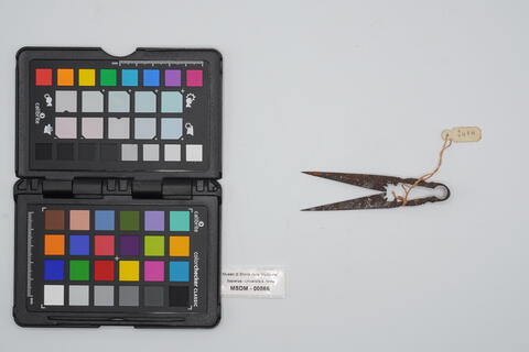 castratore 00566 photo