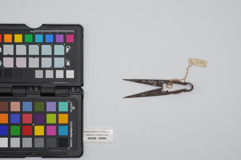 castratore 00566 - immagine 2