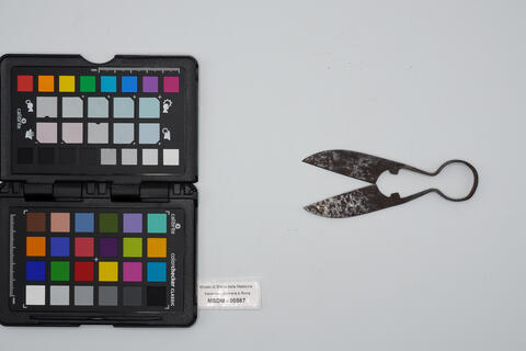 castratore 00567 photo