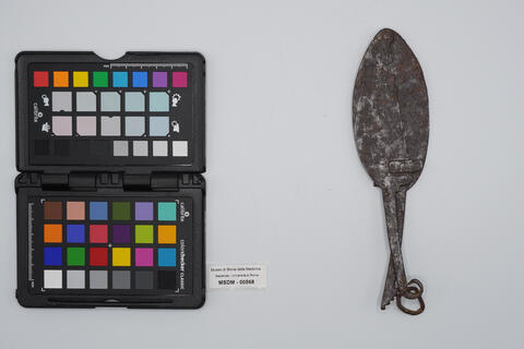 castratore per ernie 00568 photo