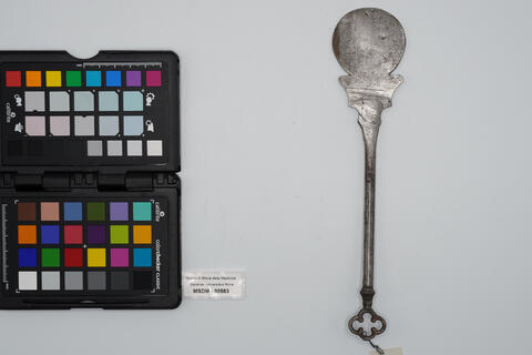 abbassalingua a paletta 00583 photo