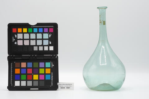 cipolla fiorentina 00601 photo