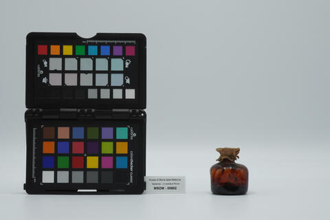 00602 - immagine 3