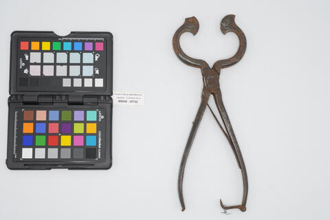 ferro per setone 00722 photo