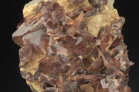 Ferro-Axinite 7240/2 photo