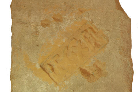 Mattone M74_335 photo