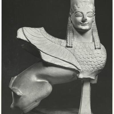 calco Sfinge di Spata 123 photo